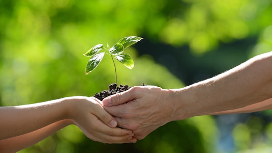 Placeholder for Plantje in twee handen