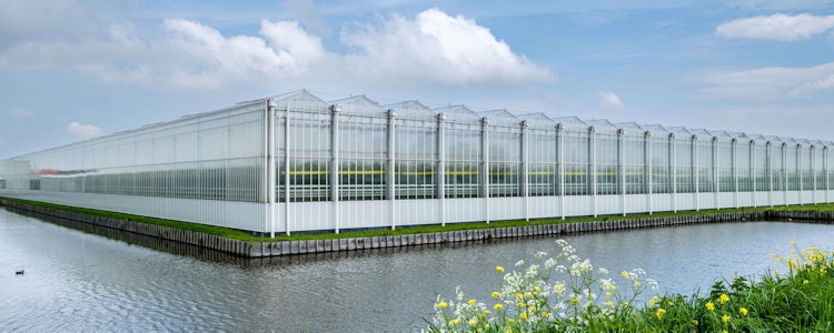 Placeholder for Tuinbouwkas langs sloot