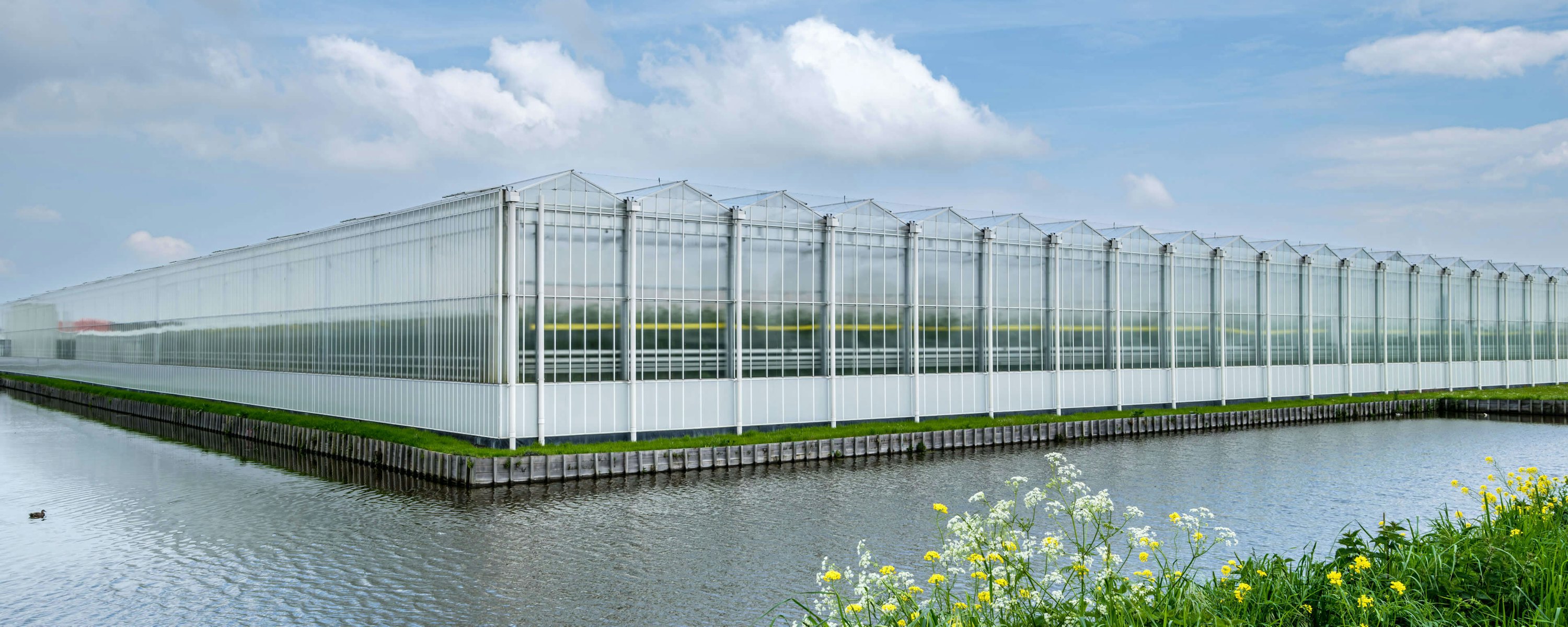 Tuinbouwkas langs sloot