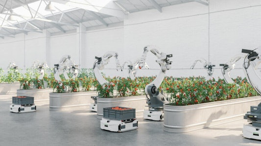 Placeholder for Voedseltransitie robots tomaten