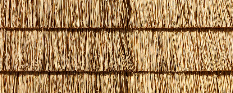 Placeholder for Biobased bouwen met vlas