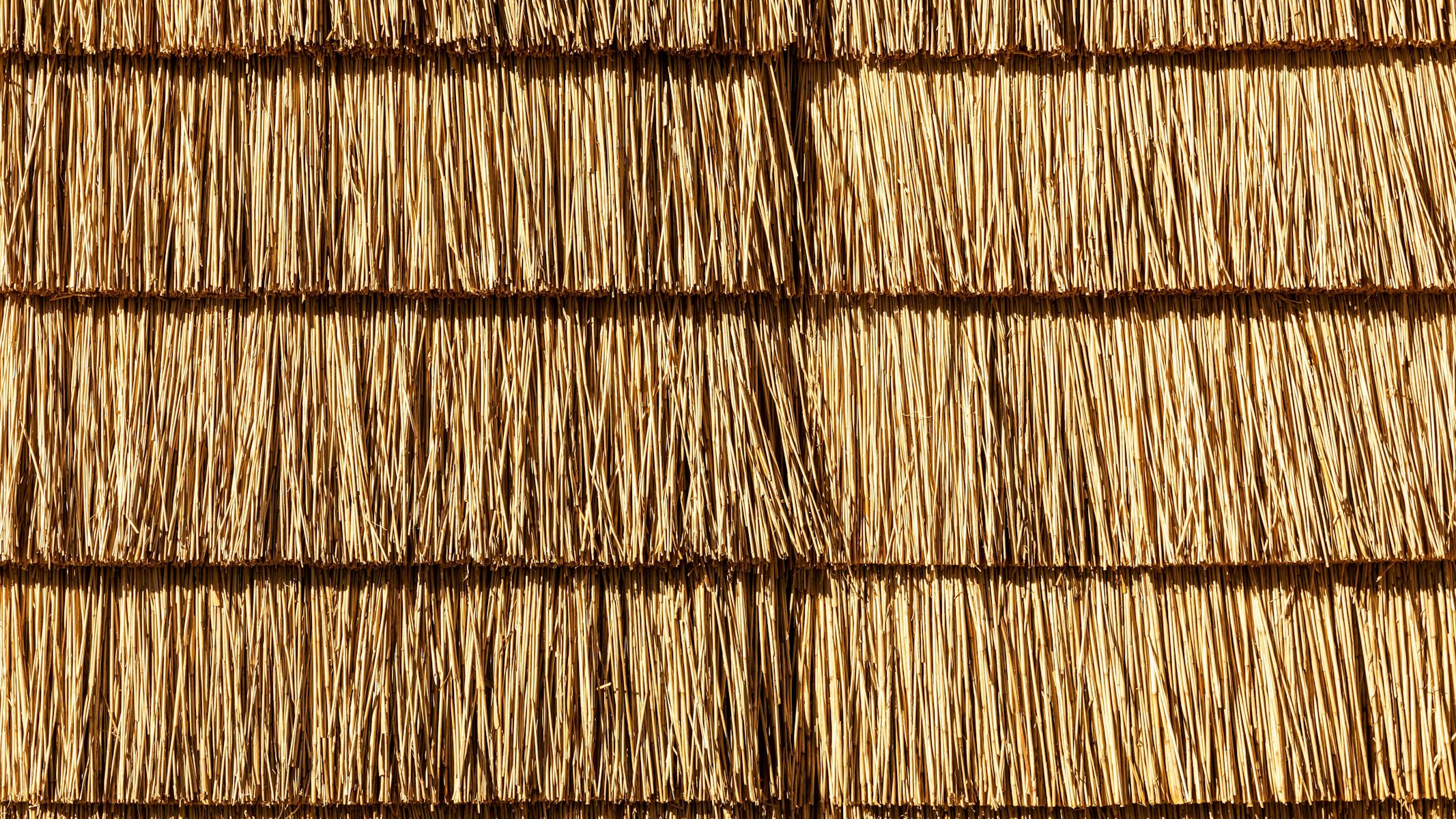 Biobased bouwen met vlas