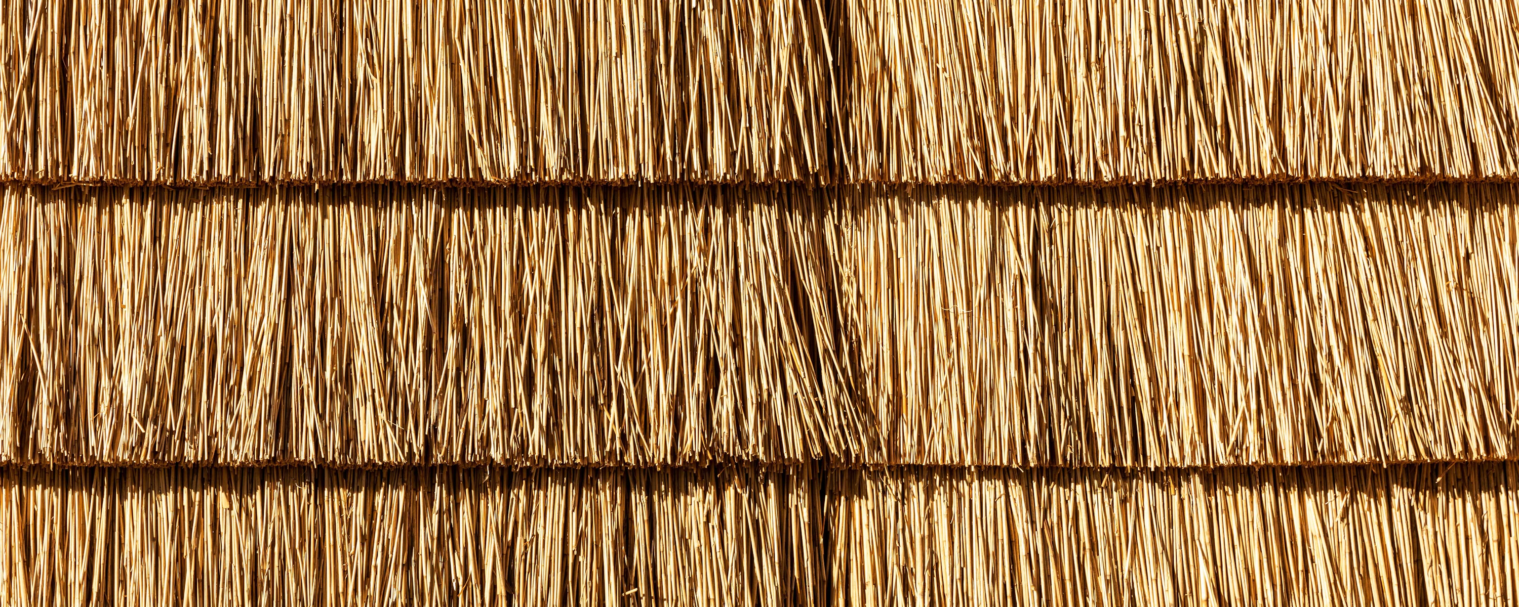 Biobased bouwen met vlas