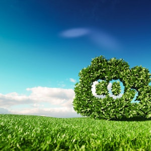 Placeholder for CO2 logo in groen bos