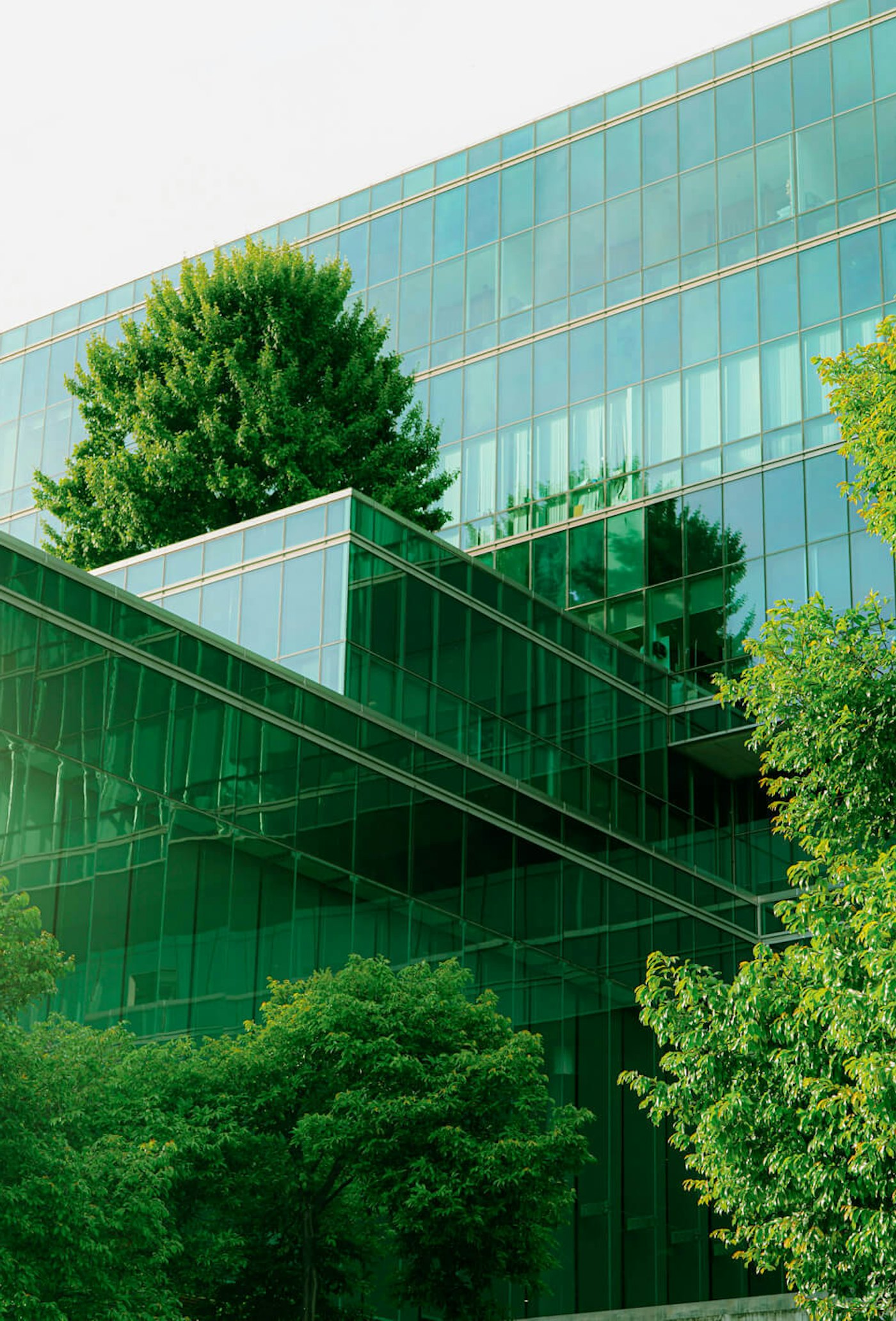 Kantoor tussen bomen