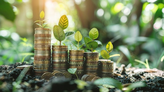 Placeholder for Geld in het groen