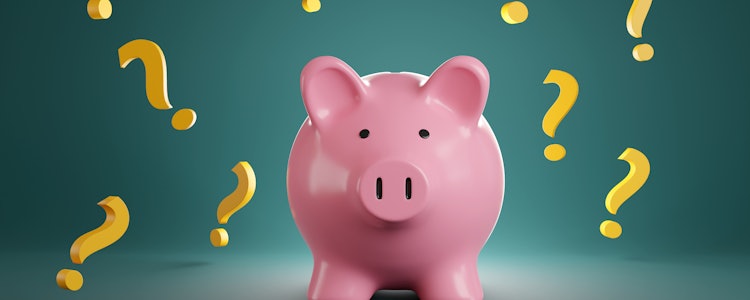 Placeholder for Spaarvarken met vraagtekens