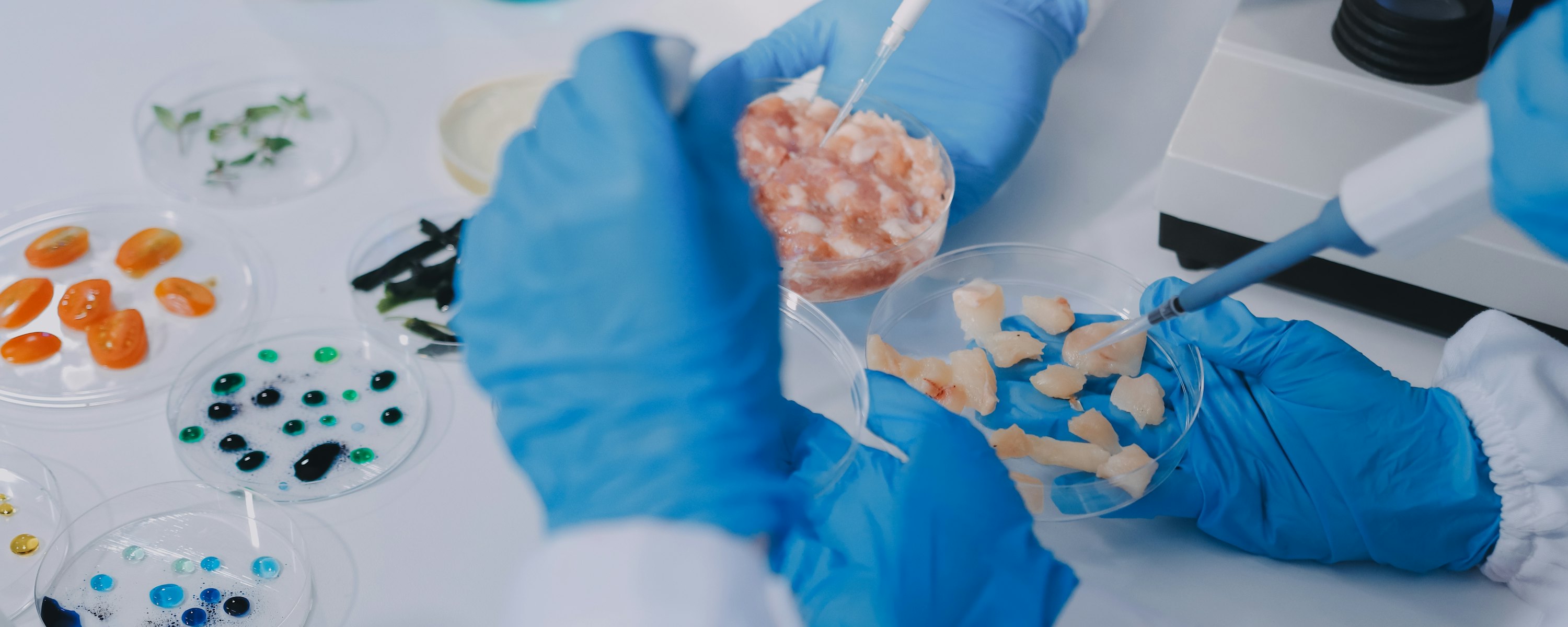 Voedsel innovatie laboratorium