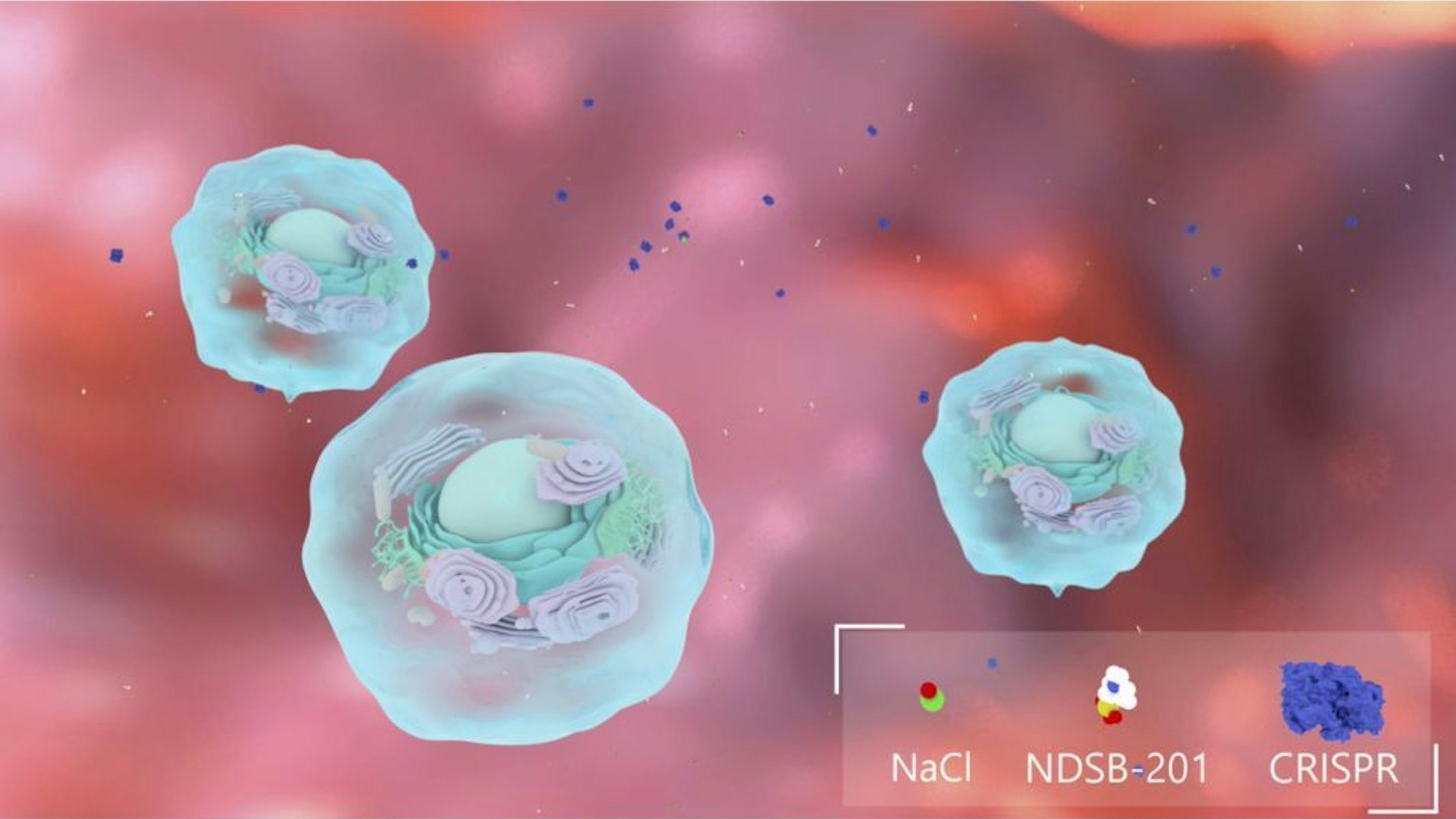 NTrans Technologies cellen