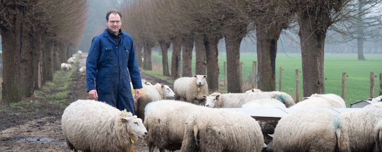 Placeholder for Richard Everts met schapen