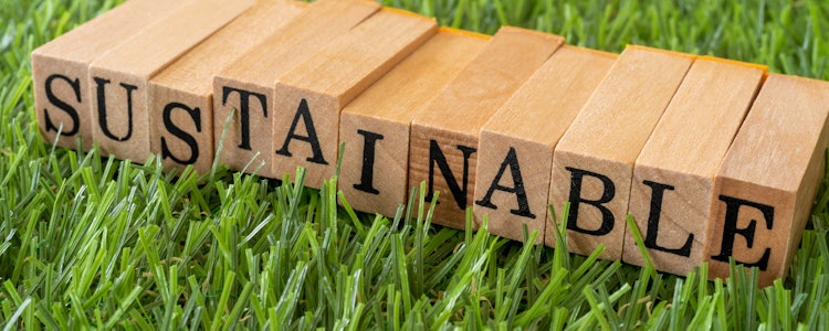 Placeholder for Statice helden