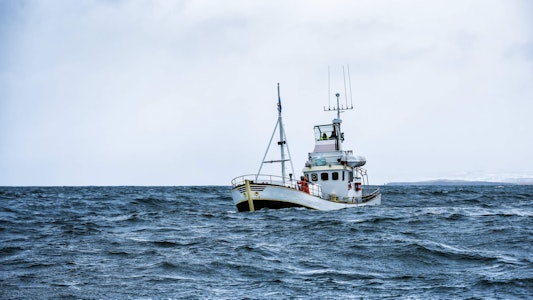 Placeholder for Vissersboot op zee