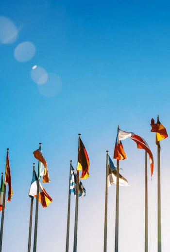 Placeholder for Europese vlaggen