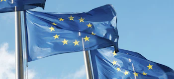 Placeholder for Vlaggen Europese Unie