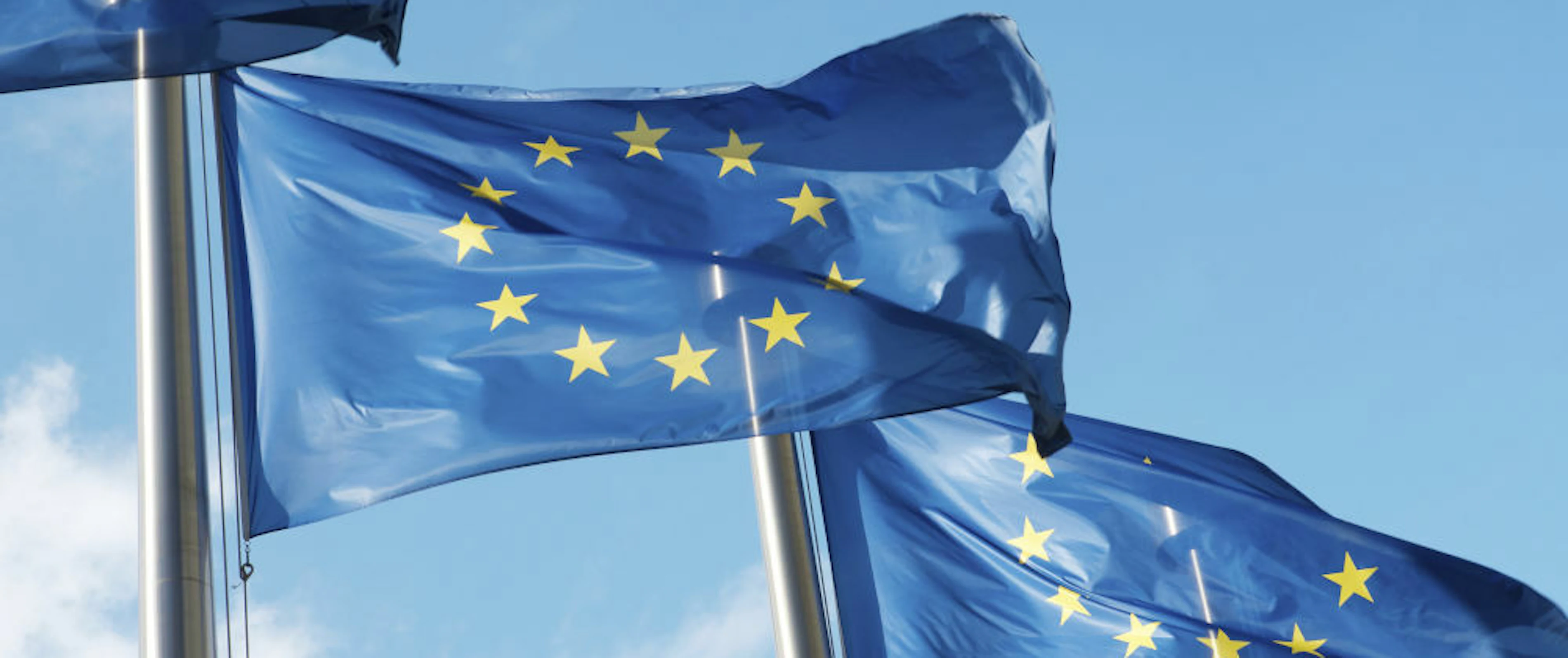 Vlaggen Europese Unie