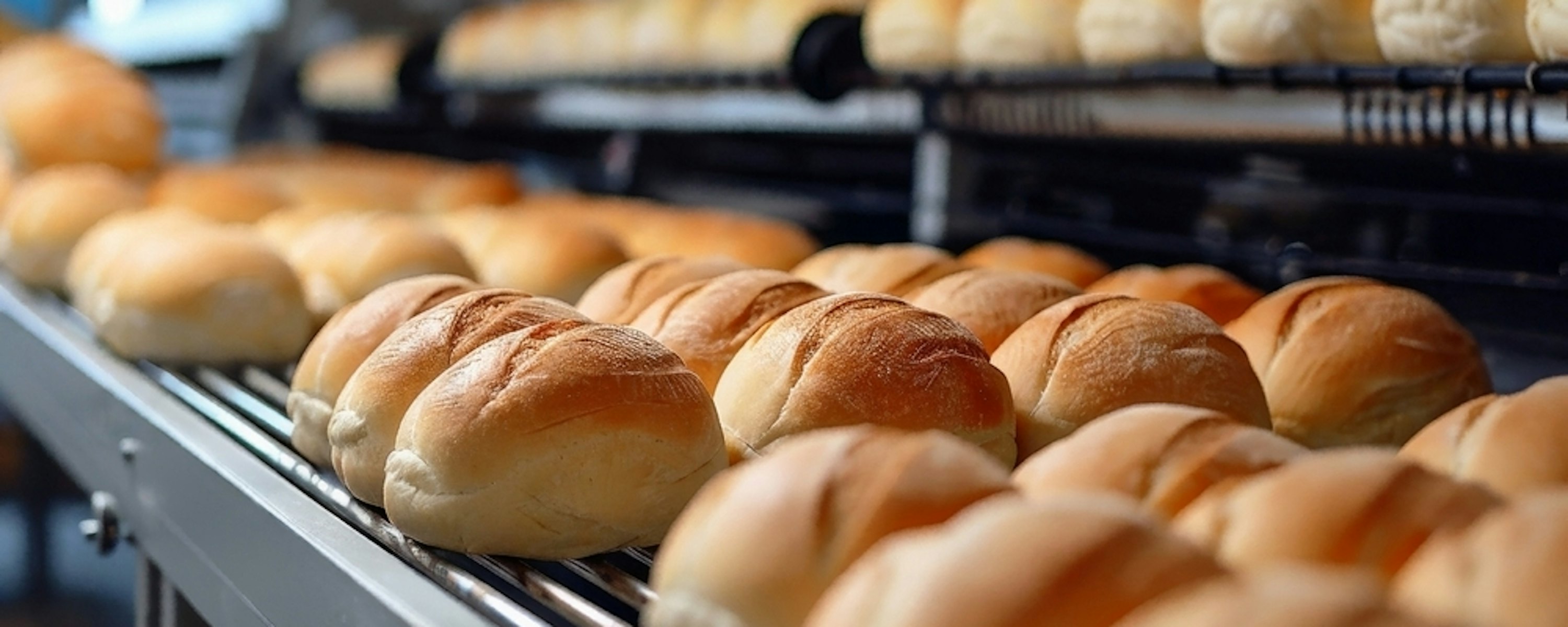 Broodjes lopende band fabriek